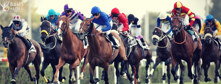 AT YARIŞI BAHİSLERİ
